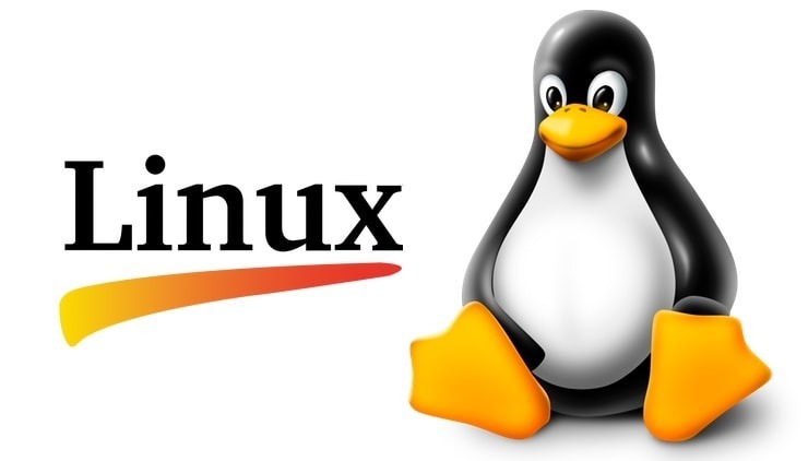 Символ Linux