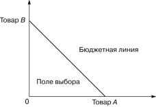 Вэриан микроэкономика промежуточный уровень. Бюджетное ограничение Микроэкономика. Бюджетное поле потребителя. Анализ бюджетных ограничений потребителя и потребительский выбор. Добавление купона в бюджетное ограничение Микроэкономика.