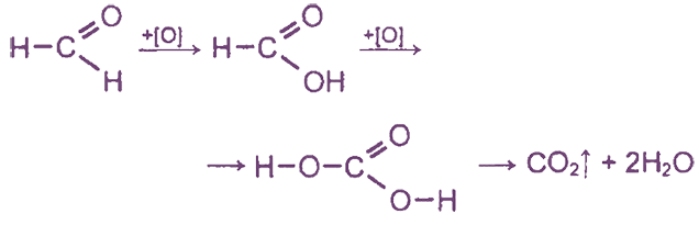 Н2СO3(СO2 + Н2O)