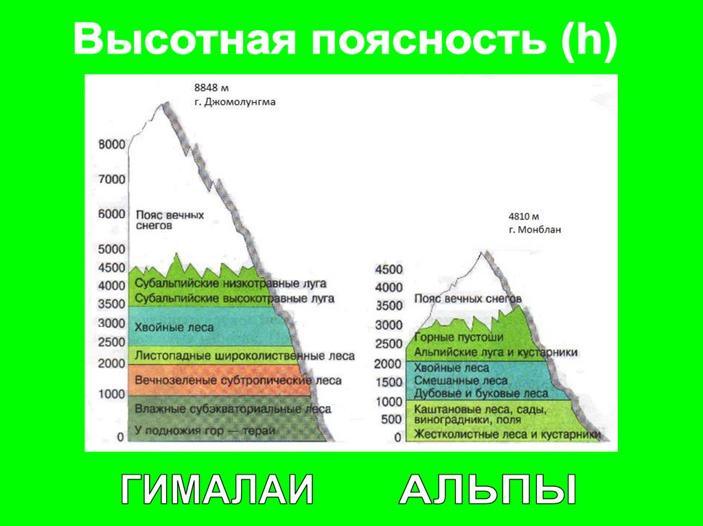 Природные зоны кавказских гор таблица. Высотная поясность Евразии 7 класс география. Высотная поясность горы Джомолунгма. Области ВЫСОТНОЙ поясности пояс. Высотная поясность Гималаев схема.