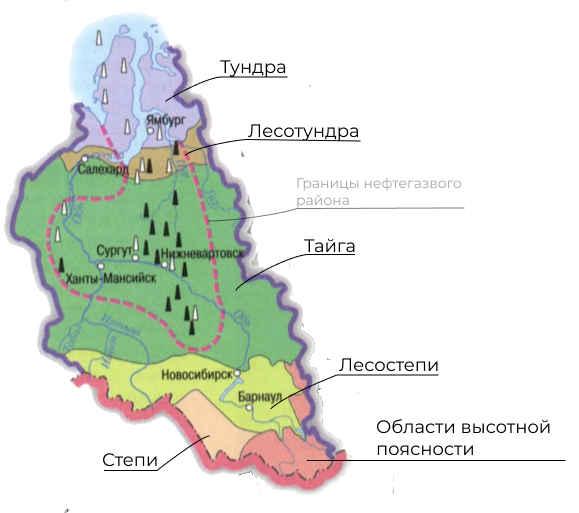 В пределах каких природных зон расположена сибирь. Природные зоны Тюменской области. Природные зоны Западно Сибирского экономического района. Карта природных зон Сибири. Природные зоны Западной Сибири карта.