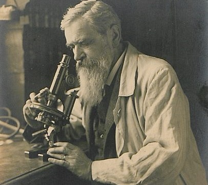 бючли бючли