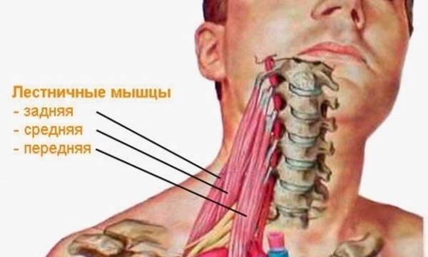 лестничная