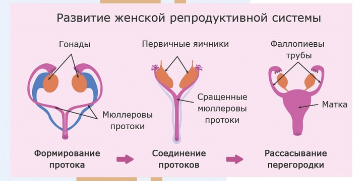 система система