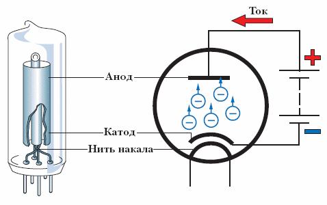 ток ток